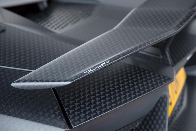 Illustration for article titled Mansory's Latest One-Off Makes A Normal Lamborghini Look Pedestrian
